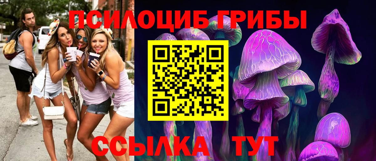 Галлюциногенные грибы GOLDEN TEACHER  Псилоцибиновые грибы мухоморы  Дубна  Вход с VPN 