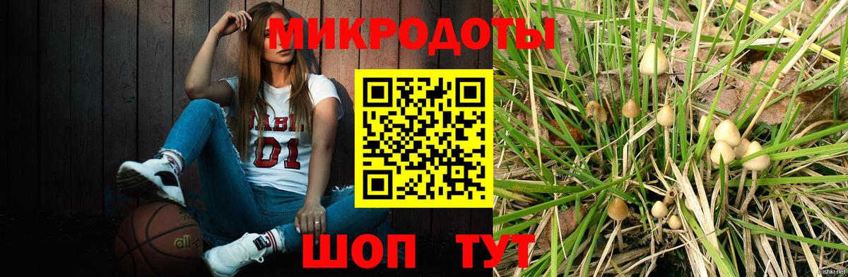 Псилоцибиновые грибы мицелий Дубна